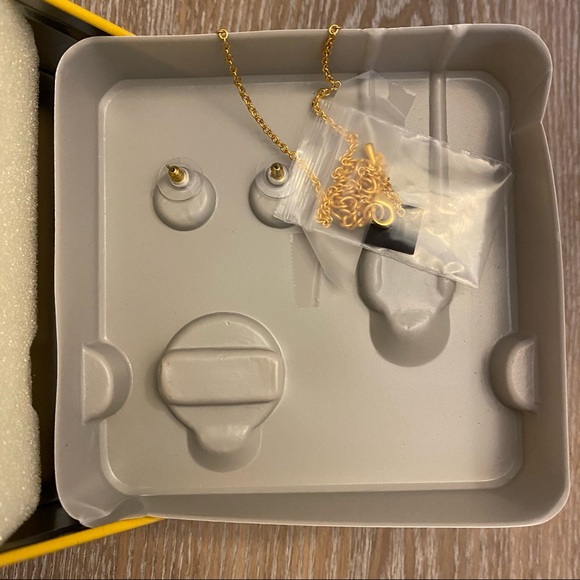 DANBURY MINT Pittsburgh Steelers NFL Jewelry Set - Picture 3 of 6